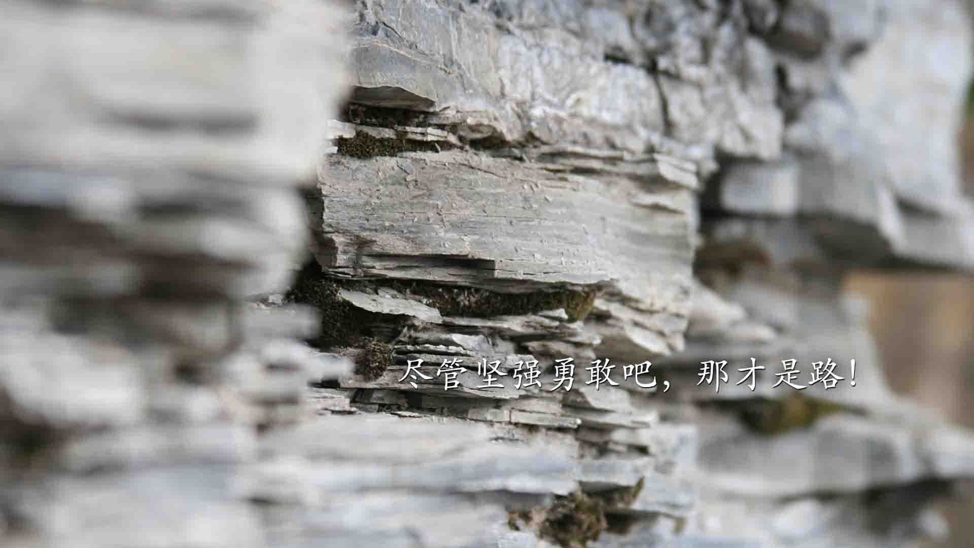 速度革命,当福克斯证明自己,独行侠已经踏平太阳