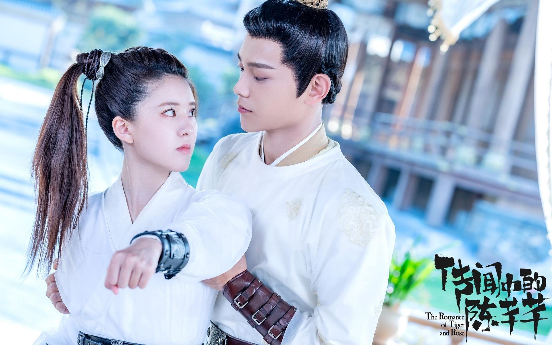 风暴眼，基辅的巷战与安联球场的弧线，人类在什么战场上证明自己？