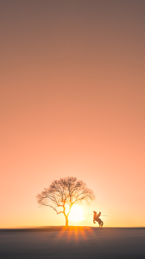从巴西的桑巴独舞到北欧的冰上奇迹,论稳定性奇迹如何在不同维度颠覆不可能