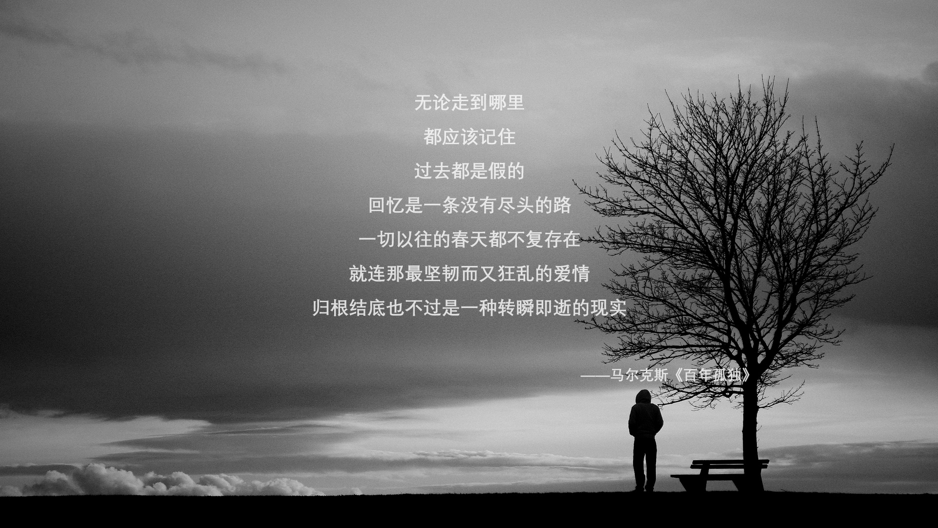 2026世界杯A组生死局,尼日利亚绝杀厄瓜多尔,登贝莱闪耀谱写中场统治力
